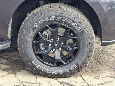 2024 Ford Expedition Timberline