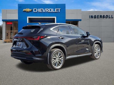 2024 Lexus NX 350 Luxury