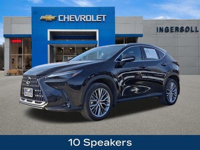 2024 Lexus NX 350 Luxury