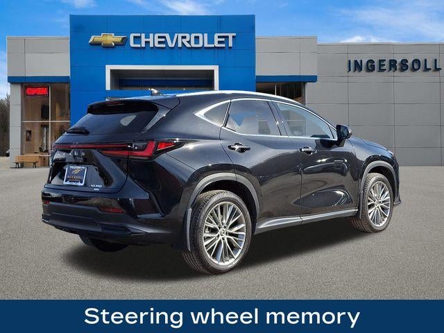 2024 Lexus NX 350 Luxury