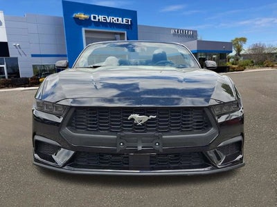 2025 Ford Mustang EcoBoost