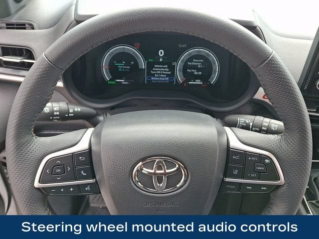 2025 Toyota Sienna Platinum